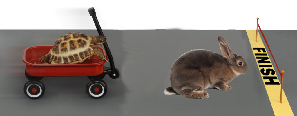 The Hare and The Tortoise